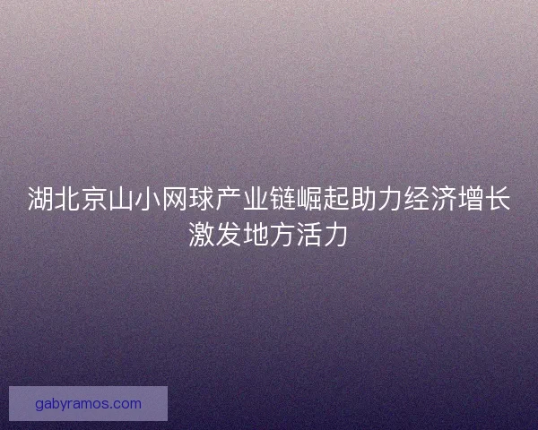 湖北京山小网球产业链崛起助力经济增长激发地方活力